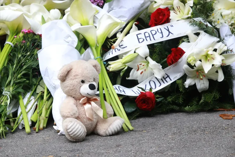 Porodice ubijenih u “Ribnikaru” pred presudu: “Katarina je ponijela keks, on metke”