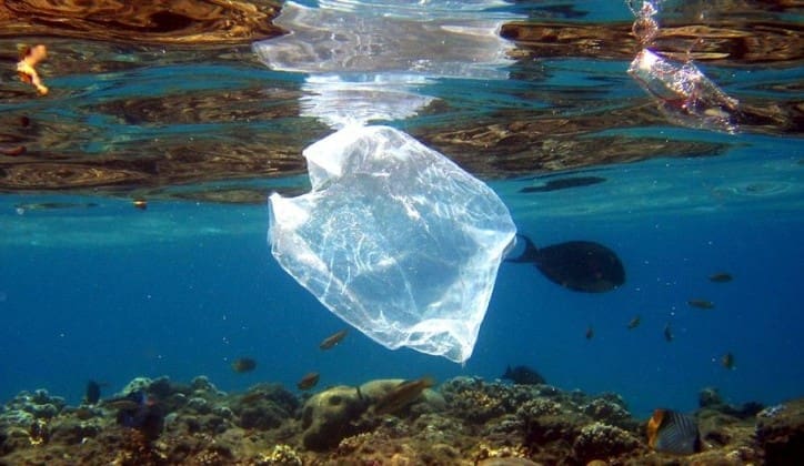 Plastika: Ekološki izazov 21. vijeka
